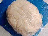 Soup Dumpling / Xiaolongbao