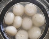 A picture of step 9 of Rasgulla 😋.