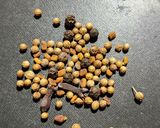 Foto del paso 2 de la receta: 🌶️Curry - Mix de 11 especias🌶️