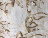 Foto del paso 1 de la receta: Canelones de berenjena gratinados con Burrata