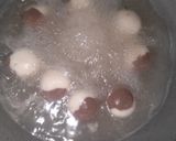 A picture of step 5 of 2 in 1 Rasogolla.