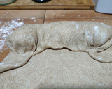 Foto del paso 9 de la receta: Pan de Espelta integral