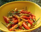Foto langkah ke 1 dari resep 85. Sambal Pete.