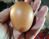 Foto langkah ke 2 dari resep Oseng buncis & telur.