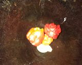 A picture of step 3 of Datun Garri.