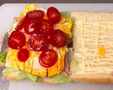 All in one Sandwich recipe step 1 photo