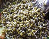 A picture of step 6 of Sprouts salad.