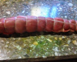 Foto del paso 6 de la receta: Matambre arrollado