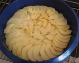 Foto del paso 6 de la receta: Bizcocho rápido de manzana