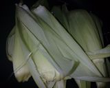 Foto del paso 11 de la receta: Tamales de carne y humita