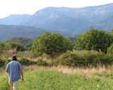 Foto del paso 1 de la receta: Fideuá de la Huerta Regenerativa