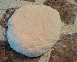 Foto del paso 4 de la receta: Tarta de acelga y salsa blanca con queso muzzarella
