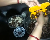 ड्राई फ्रूट मोदक रेसिपी चरण 3 फोटो