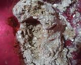 Foto del paso 1 de la receta: Galletitas integrales con algarroba