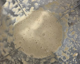 Foto del paso 1 de la receta: Hotcakes de avena apto DMA con pocos ingredientes