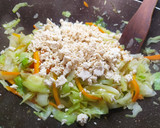 Foto del paso 5 de la receta: Rollitos primavera vegan con salsa agridulce