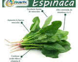 Foto del paso 2 de la receta: Licuado de espinaca y algo más