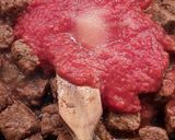Pas rețetă Mămăligă cu sos de carne de vită 5 fotografie