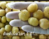รูปขั้นตอนการทำที่ 1 ของ มะยมเชื่อม