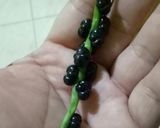 Foto langkah ke 1 dari resep Sirup Binahong hitam #herlin widodo.