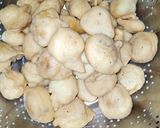 A picture of step 6 of Lahori Tarka Boondi.