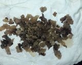 Foto del paso 4 de la receta: Semitas sanjuaninas
