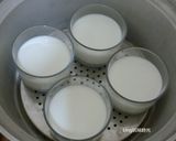 自製優格佐蜂蜜的食譜步驟2照片