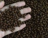 Foto langkah ke 2 dari resep Kopi Kacang Hijau Untuk Asam Lambung & Maag.