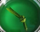 Foto langkah ke 1 dari resep Buko Pandan.
