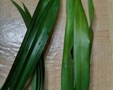 Foto langkah ke 1 dari resep Bolu Pandan suji.