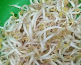 Foto langkah ke 3 dari resep Soto Ayam Seger + Simpel.