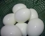 Foto langkah ke 1 dari resep Tips Merebus Telur.