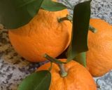 Une image de l'étape 7 de 🍊orange curd 🧉🥄agrumes en fête 🍋.