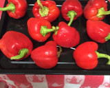 Foto del paso 1 de la receta: Pimentones en conserva
