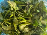 Tumis kangkung pedas pake terasi
