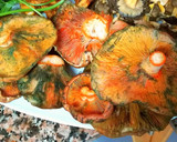 Foto del paso 2 de la receta: Pebrassos al ajillo