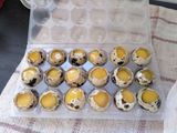 Huevos de codorniz a la plancha