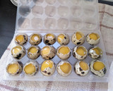 Foto del paso 1 de la receta: Huevos de codorniz a la plancha