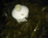 A picture of step 2 of Sarson ka saag,rice(white) atta roti.