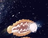 صورة لخطوة 3 من وصفة تارتولات رخامة🍫