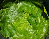 عکس مرحله 5 از دستور 🍀دلمه برگ مو بدون گوشت🍀