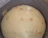 Foto del passaggio 7 della ricetta 🤍Colomba 🕊 o tacchino 😂con lievitazione abbastanza fast 🕊
