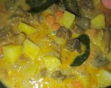 Foto langkah ke 5 dari resep Kari Daging Kentang Wortel.