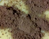 A picture of step 3 of Chocolate and walnuts brownies.