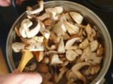 Mushroom risotto
