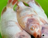 Foto langkah ke 1 dari resep Pesmol Ikan Nila Bumbu Kuning.