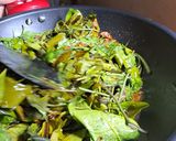 Foto langkah ke 3 dari resep Tumis daun Pakis miding dandaun melinjo.