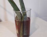 Foto del paso 1 de la receta: Ensalada de aloe vera, tomate y atún