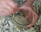 Foto del paso 1 de la receta: Tostadas de atún
