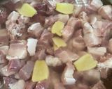 Foto langkah ke 1 dari resep LouBak - Babi Kecap (Non Halal).